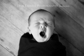 delaware newborn photographer