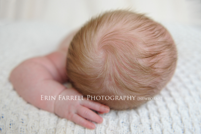 delaware newborn photographer
