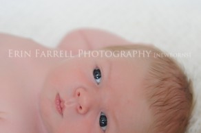 delaware newborn photographer