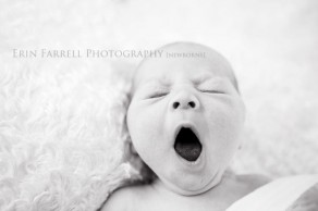 delaware newborn photographer