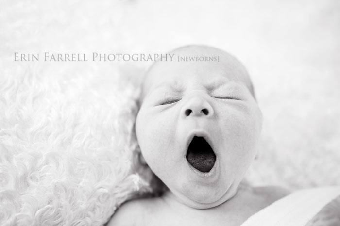 delaware newborn photographer