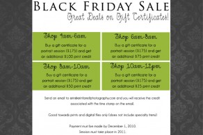 black friday sale, delaware photographer
