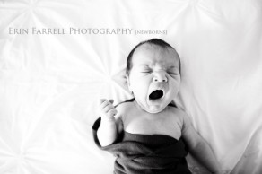 delaware newborn photography